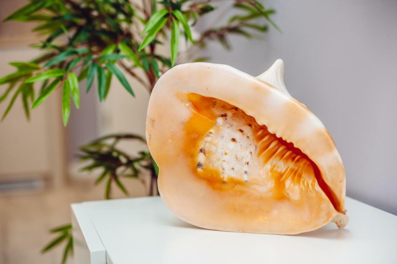 Apartamenty Blizej Morza コウォブジェク エクステリア 写真